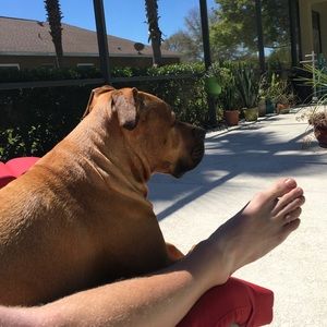 Meet your Posher, Austin